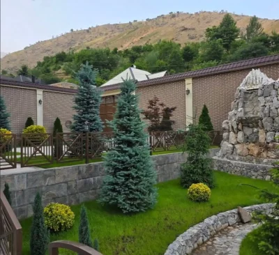 Дарахтои ороиши