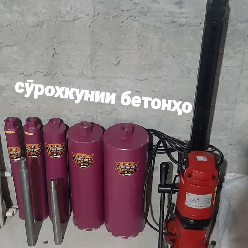 Сурохкунии бетонных стен