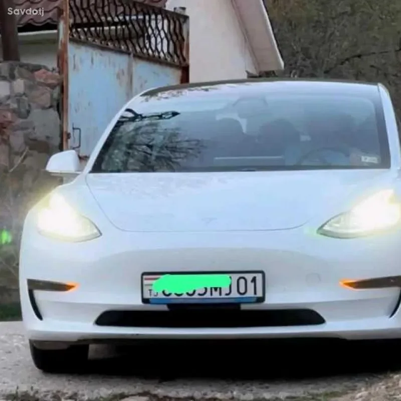 Tesla Model 3 2021