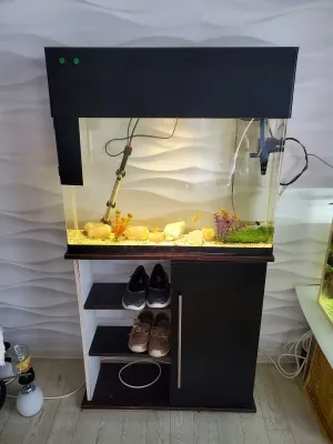 аквариум 60л