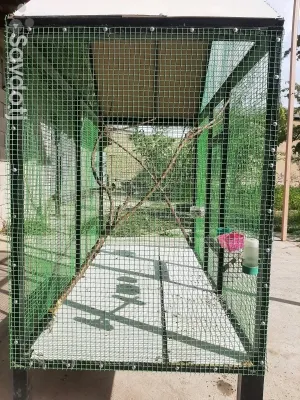 клетка барои паранда 