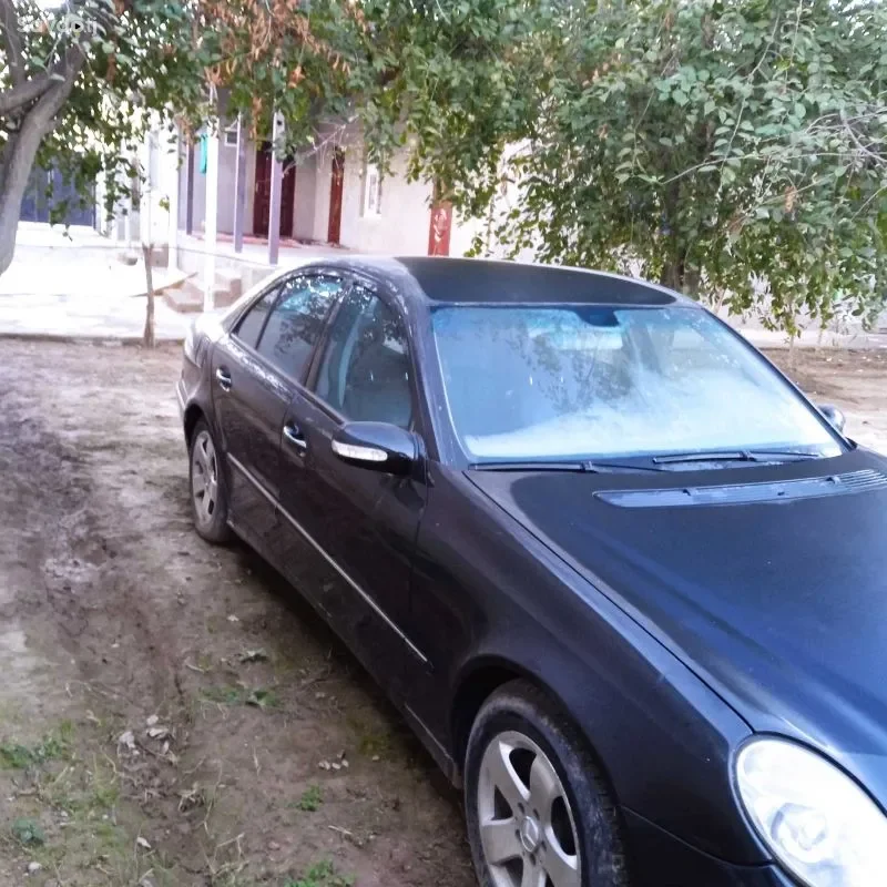 Mercedes-benz E class 2008 — миниатюра 5