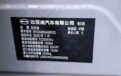 BYD Sea Lion 06, 2025