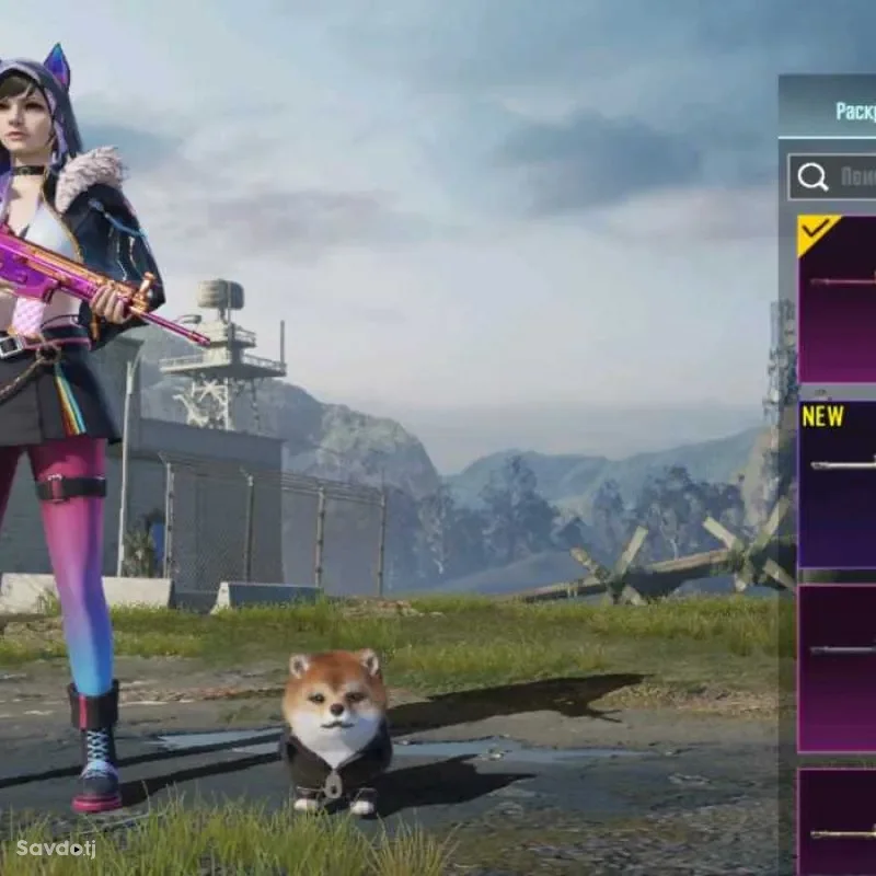 Акаунт PubgMobile 2 Сол шуд