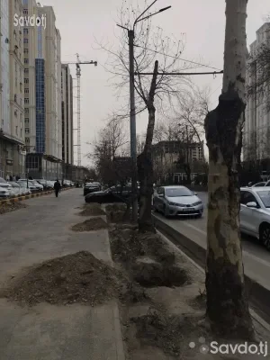 1-к квартира, 9 этаж, 54 м², фирдавси