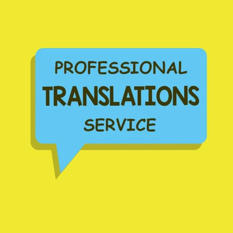 Professional Translator