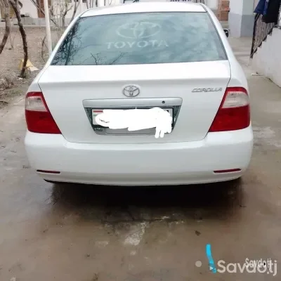 Corolla — миниатюра 3