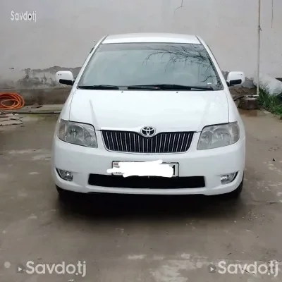 Corolla — миниатюра 5