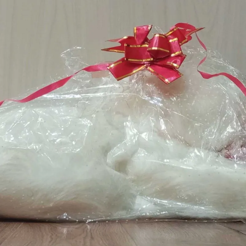 Мягкая плюшевая кошка