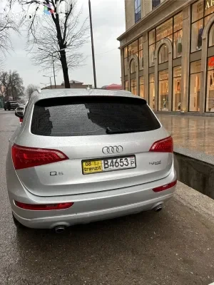 Audi Q5 2010 — миниатюра 4