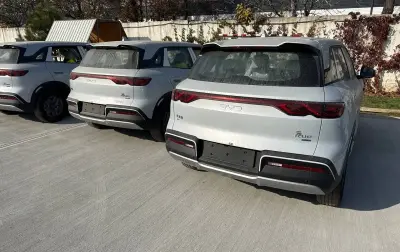 BYD Yuan Up, 2025