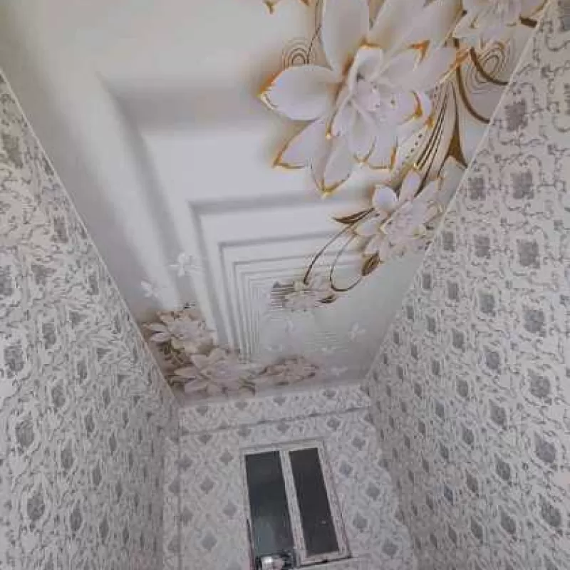 натияжной