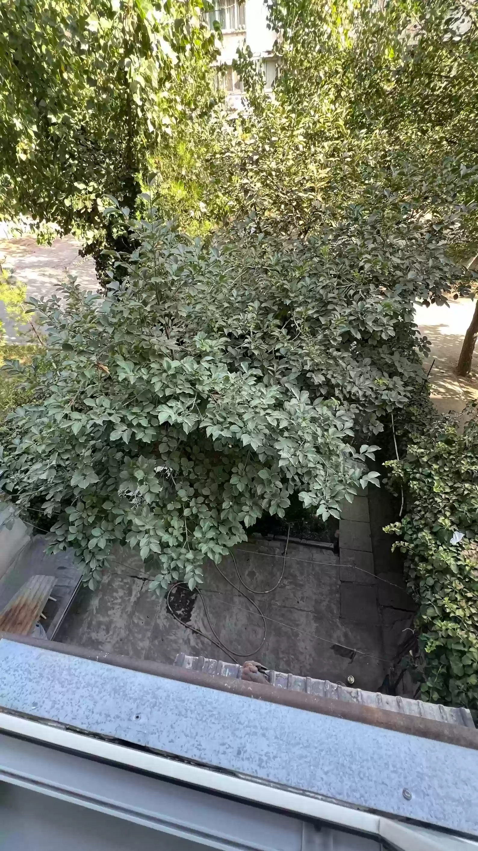 3-к квартира, 2 этаж, 68 м², Фирдавси
