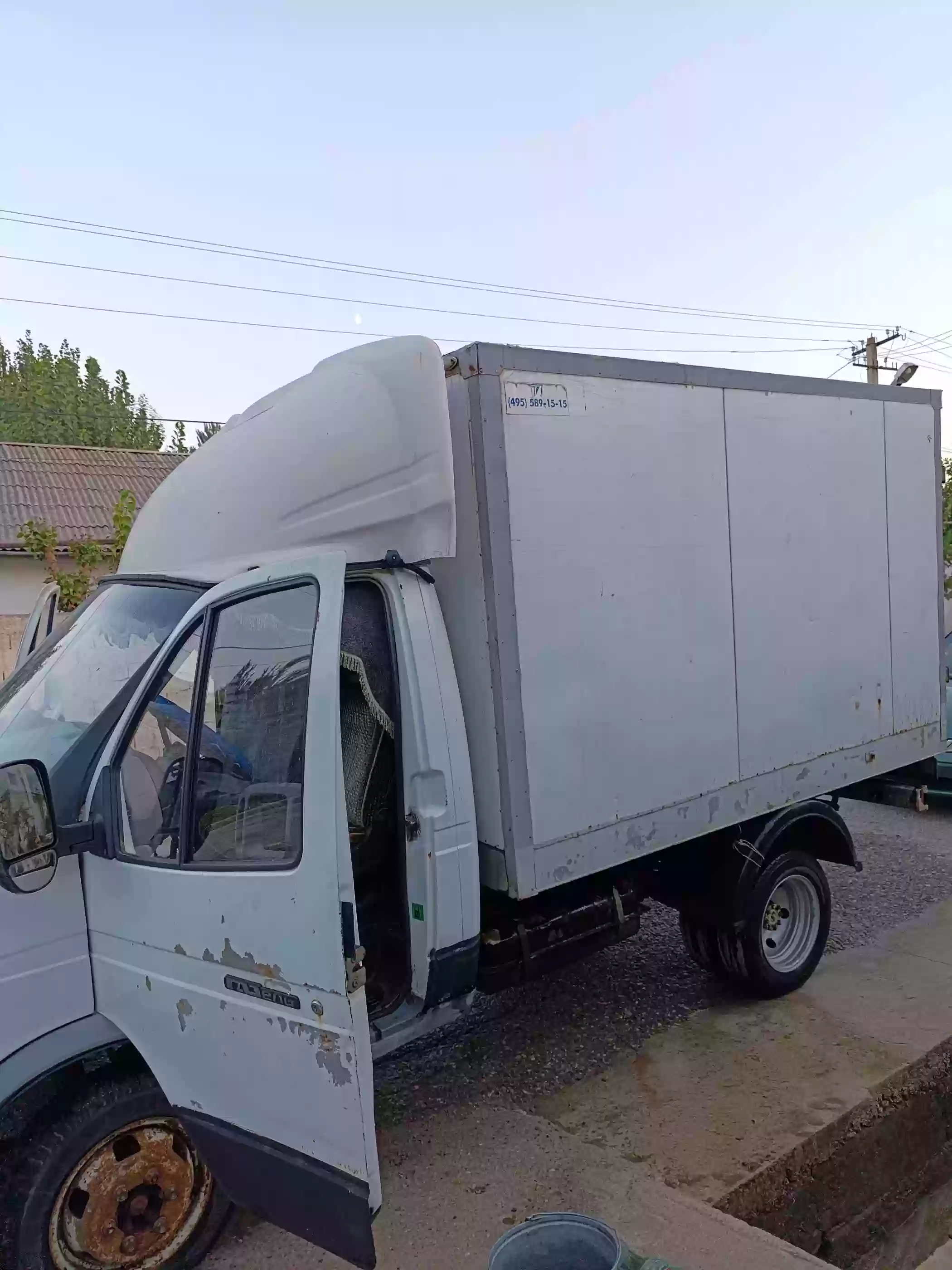 газел