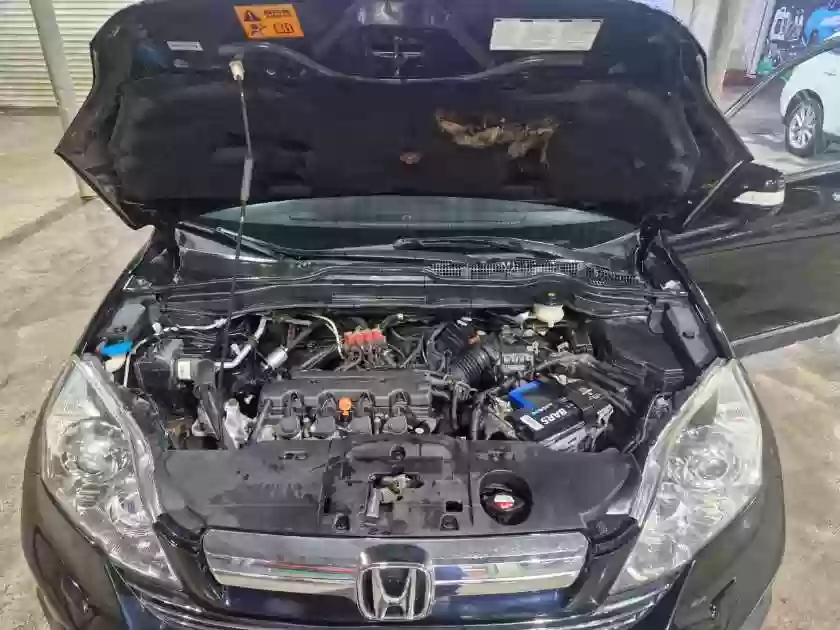 Honda Cr-v 2008 — миниатюра 5
