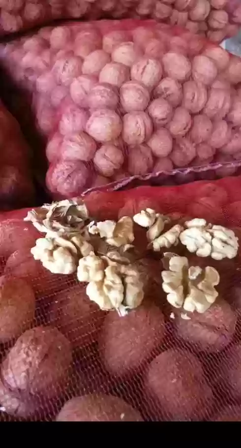 Грецкий орех