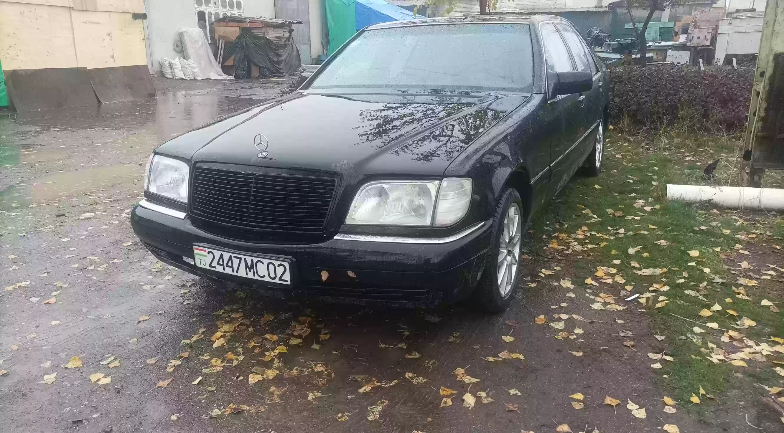 Mercedes-benz S class 1995