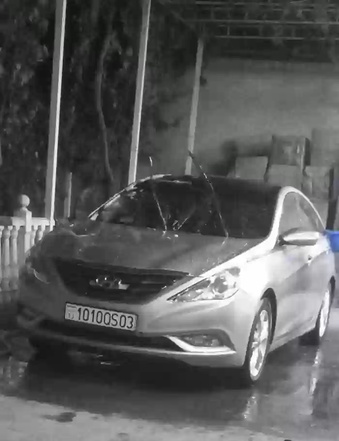 Hyundai Sonata 2010