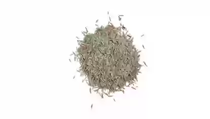 Тухми Газон