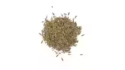 Тухми Газон