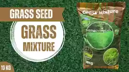 Тухми Газон Grass Mixture 