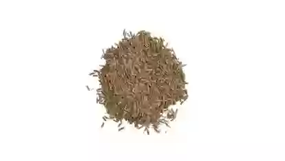 Тухми Газон Grass Mixture 