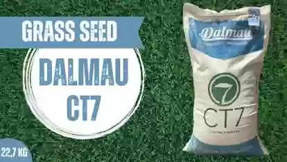 Тухми Газон Dalmau CT7
