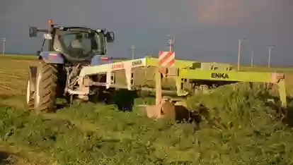 Тухми Рушка OSM