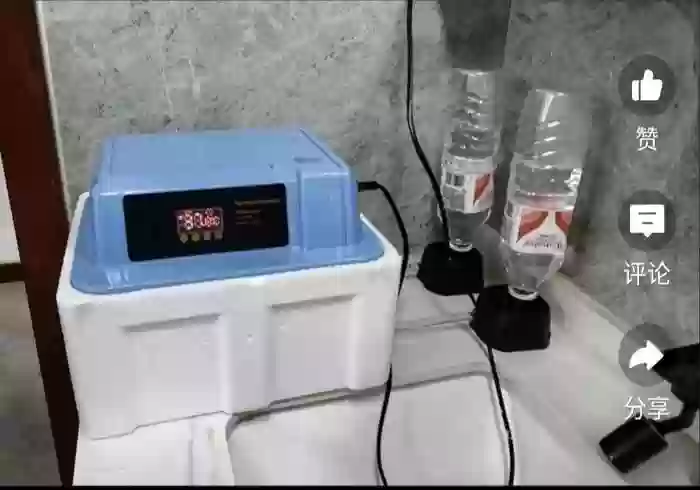 Инкубатор 