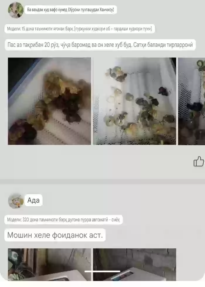 Инкубатор 