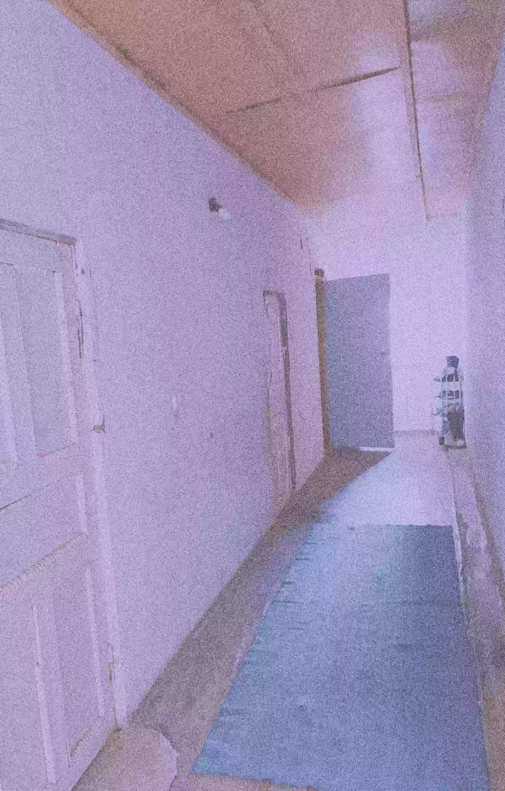 1 этажный, 4-комн. дом, 500 м², 80 соток, Балчувон