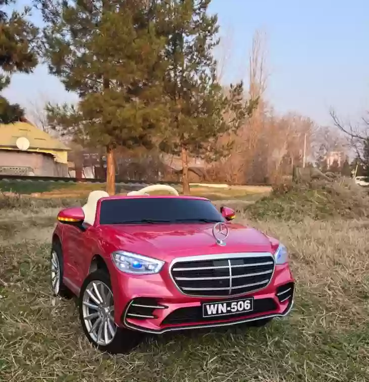 мошинча