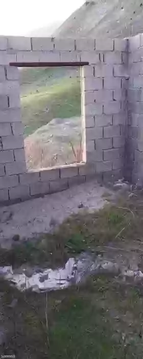 8сотик