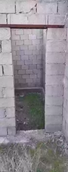8сотик
