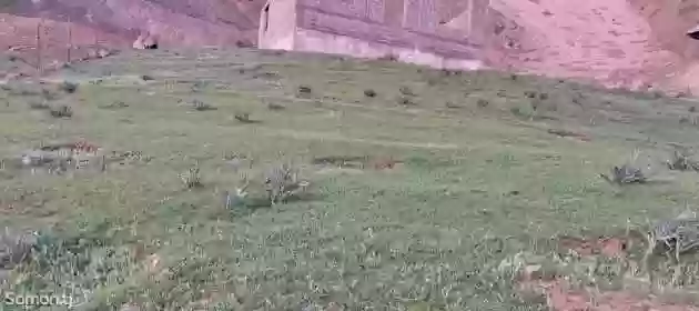 8сотик