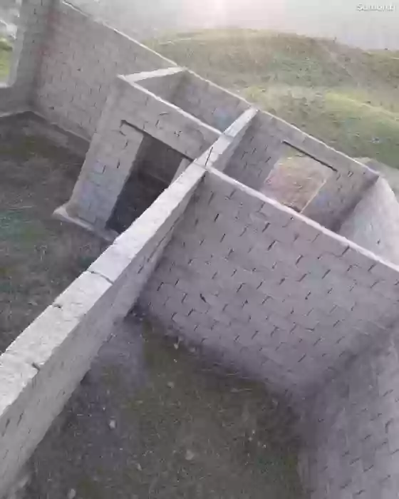 8сотик