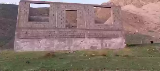 8сотик