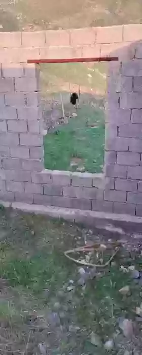 8сотик