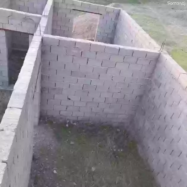 8сотик