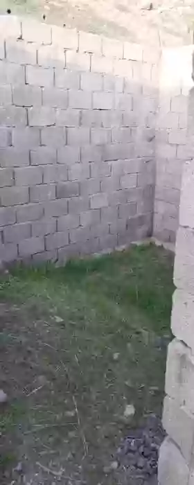 8сотик