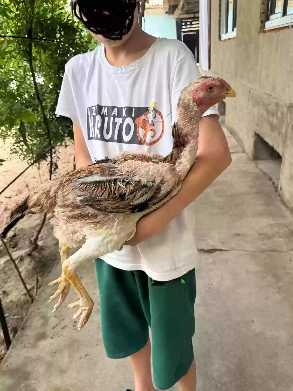 тухми дакан 