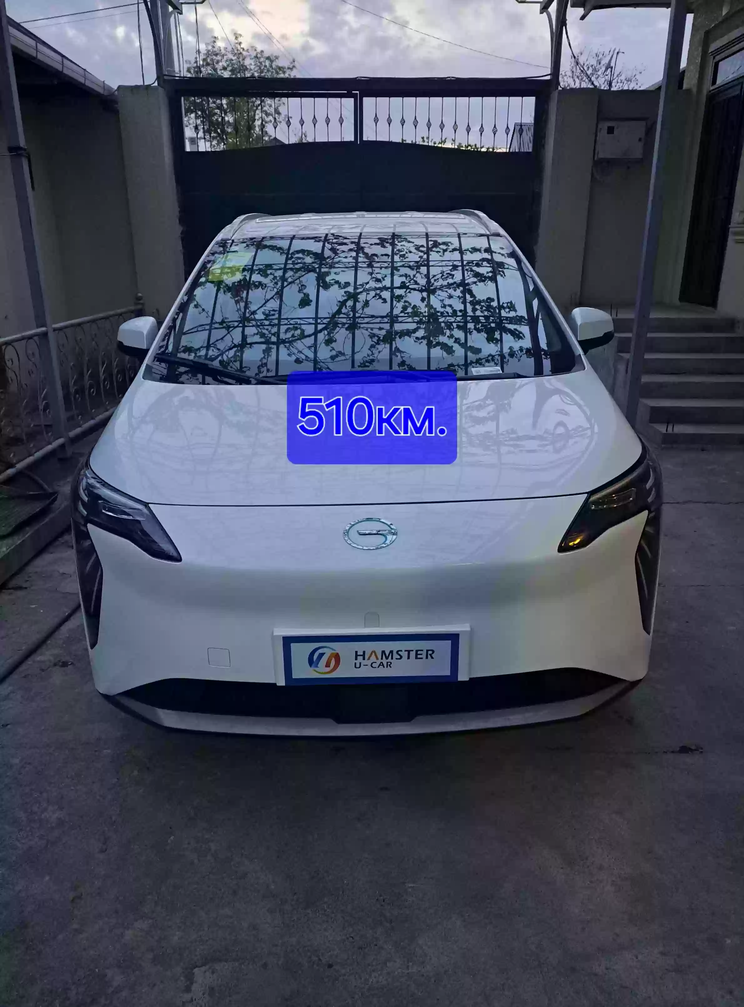 AION Y PLUS 2024