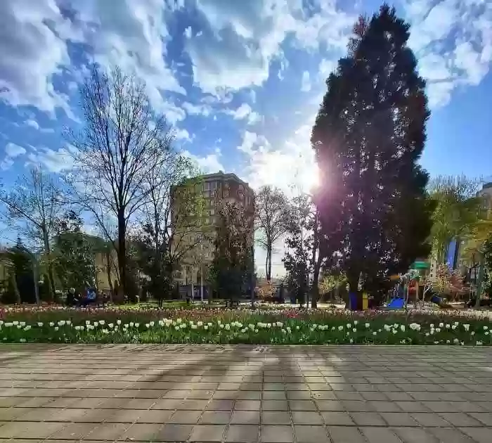 Риэлтор агент по недвижимости