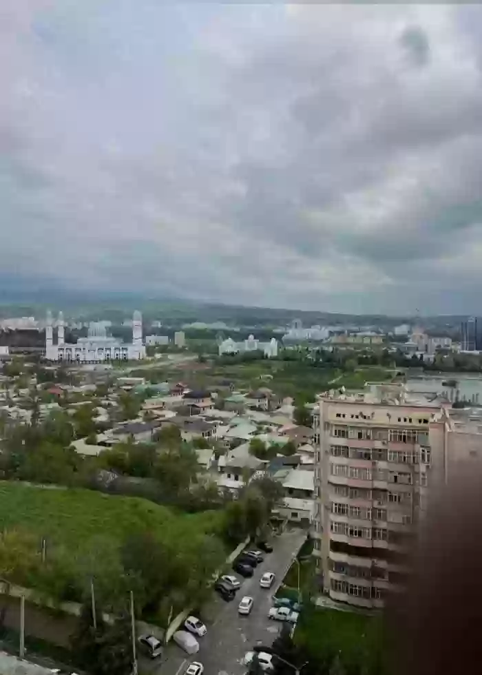 3-к квартира, 13 этаж, 172 м², Сино