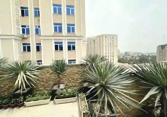 2-к квартира, 11 этаж, 112 м², Фирдавси