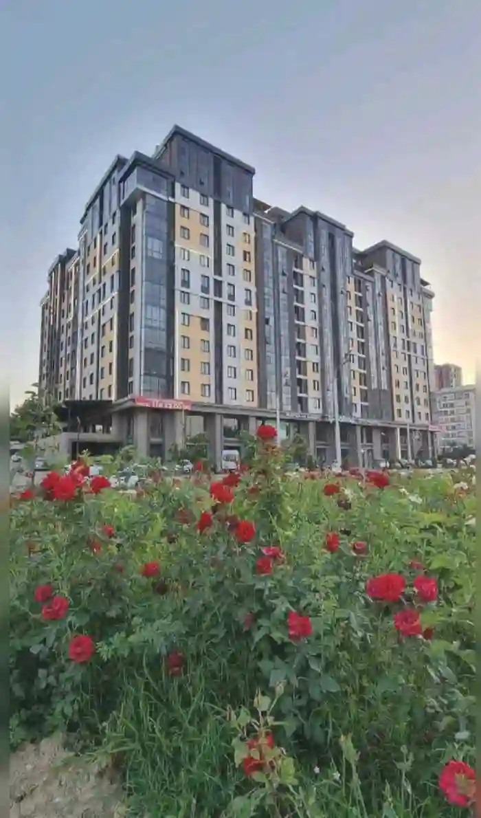 2-к квартира, 12 этаж, 61 м², Сино