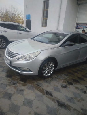 Hyundai Santamo 2012