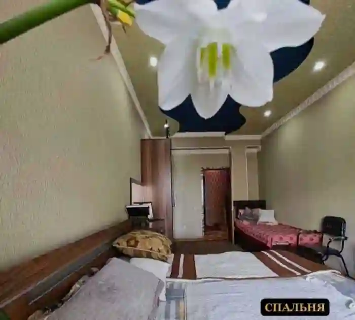 3-к квартира, 5 этаж, 90 м², Сино