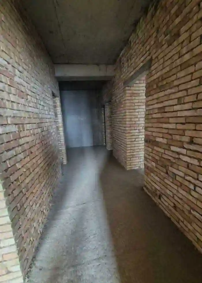 3-к квартира, 5 этаж, 100 м², Сино