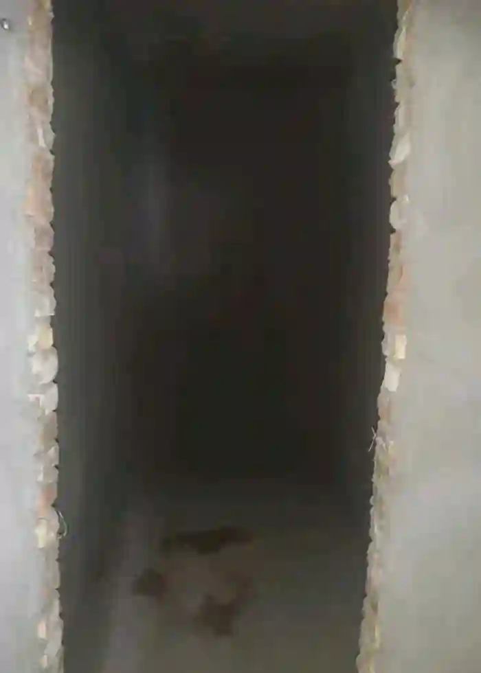 3-к квартира, 7 этаж, 78 м², Сино
